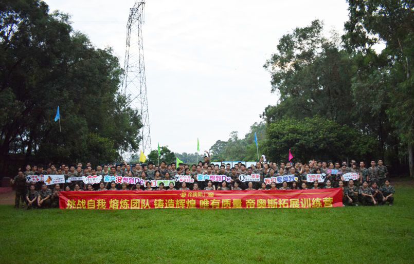 帝奥斯门窗