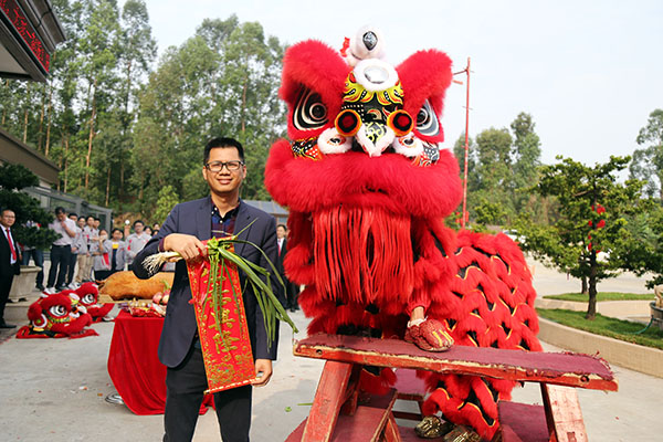 帝奥斯门窗