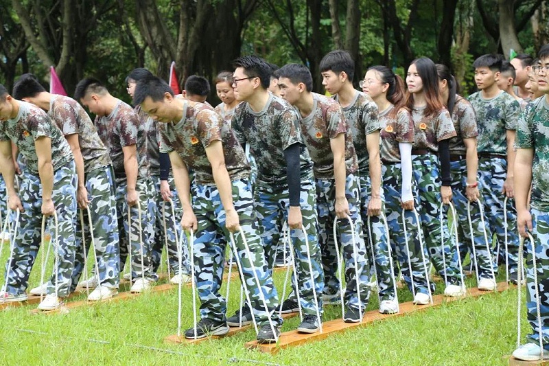 帝奥斯拓展