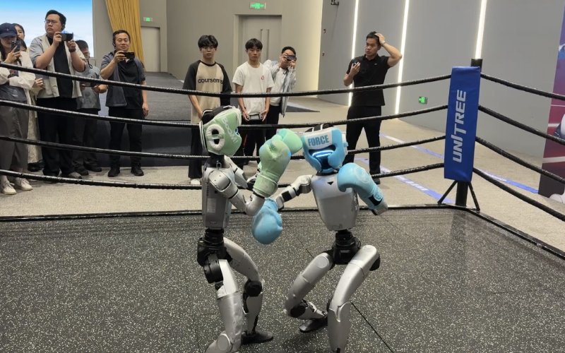 人形机器人表演