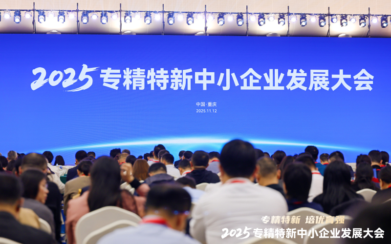 2025专精特新中小企业发展大会 2025专精特新中小企业发展大会