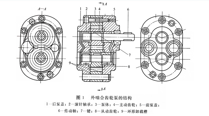 外嚙合齒輪泵結(jié)構(gòu)