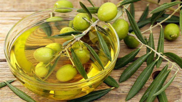 成都养老院经验分享：橄榄油有什么健康益处？（上）1