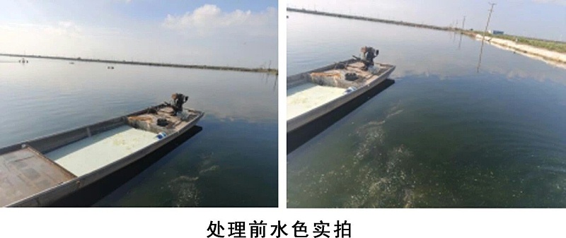 微信图片_20261026105757_59_10 微信图片_20261026105757_59_10