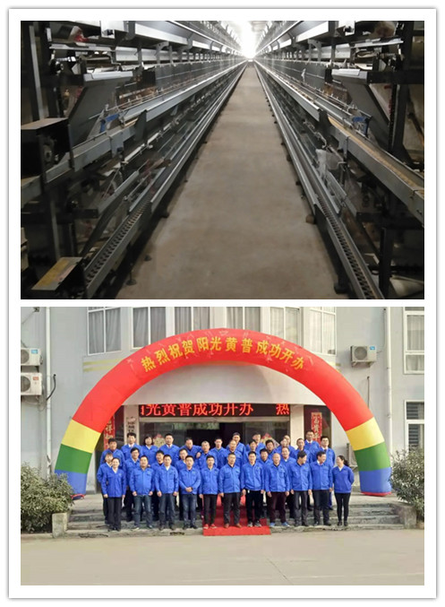 图片2 图片2