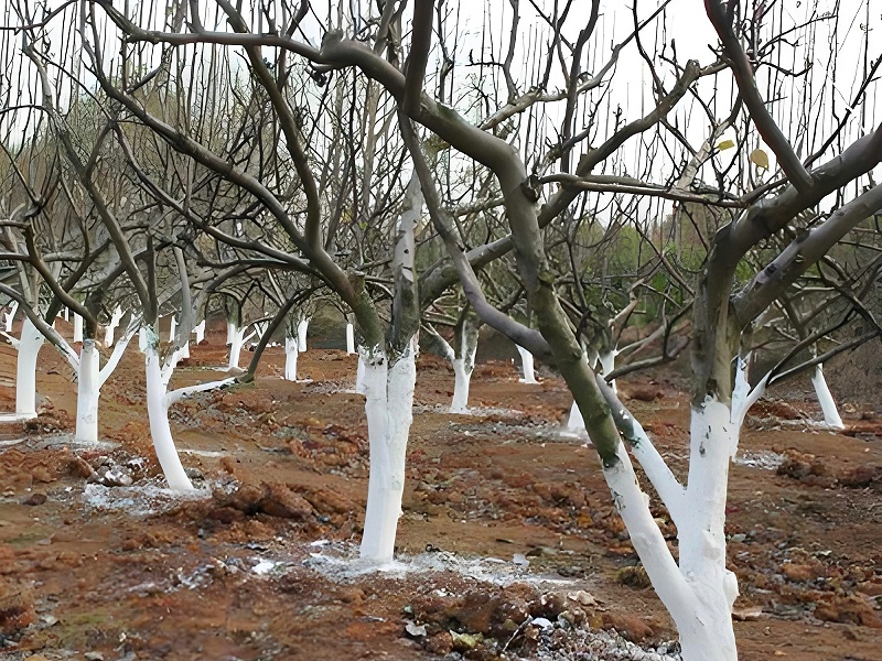 a69e8e1f7317e98870fdaaf7e2f7295