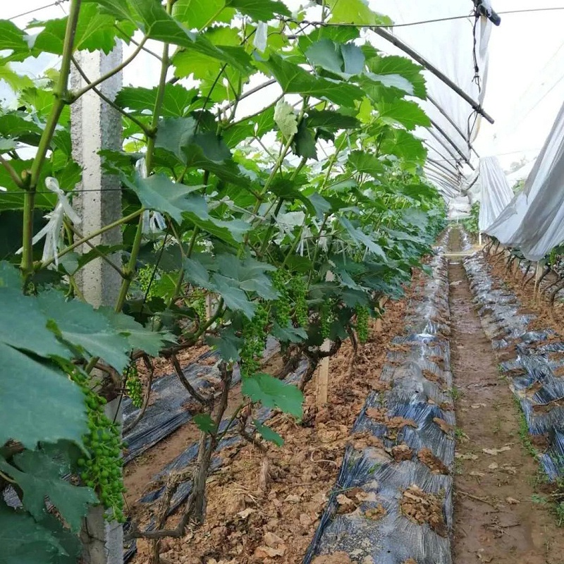 b997072eb85c475e804b6b31be675b39