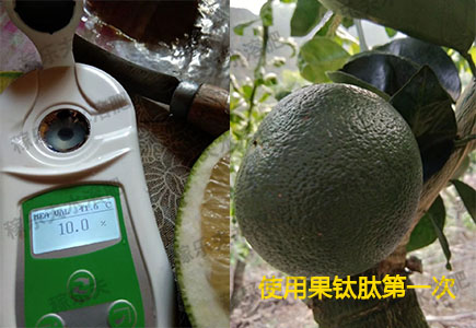 葡萄柚使用果钛肽第一次效果