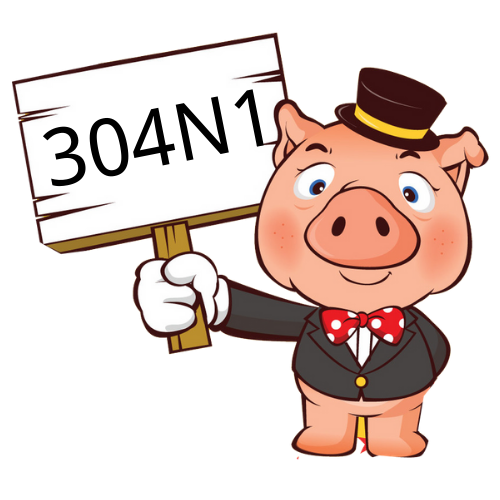 304N1