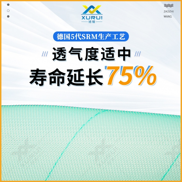 三层聚酯成型网 三层聚酯成型网