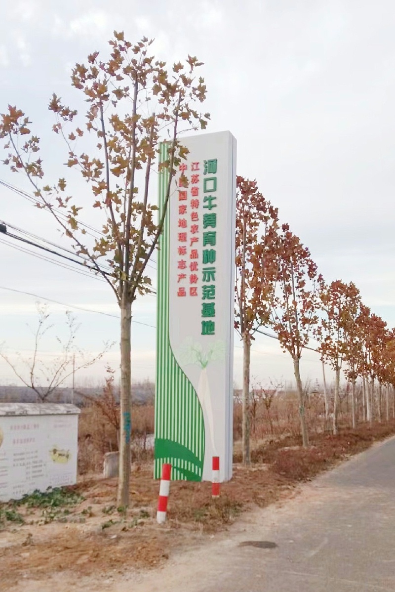 绿色标识标牌通向美丽中国