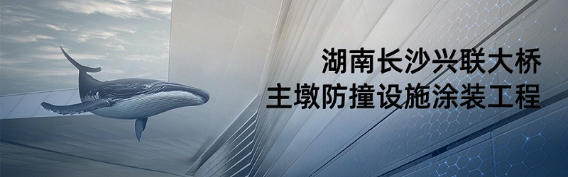 086湖南长沙兴联大桥