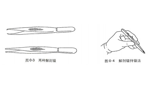 尸体解剖器材