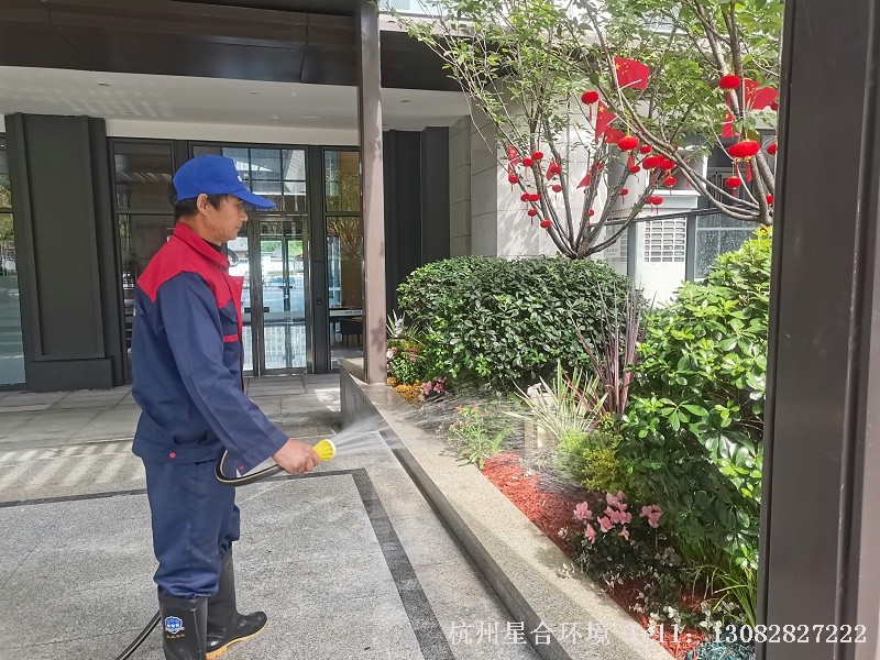 植物降温浇水