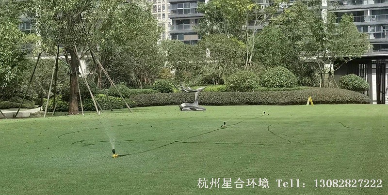 植物降温草坪浇水