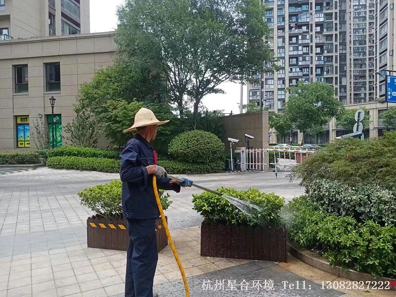 植物降温灌木浇水