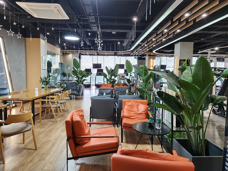 健身房环境 健身房环境