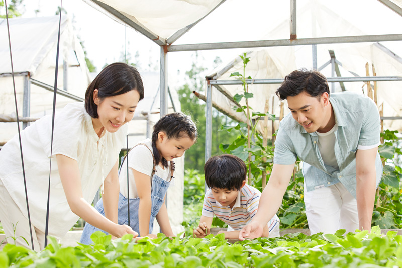 家庭聚会游玩 家庭聚会游玩