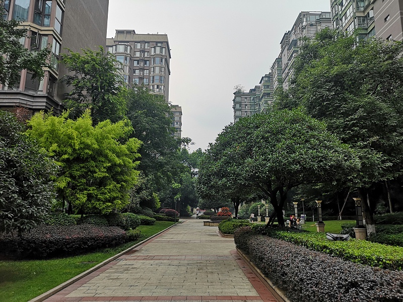 神仙树安装直饮水机 神仙树安装直饮水机