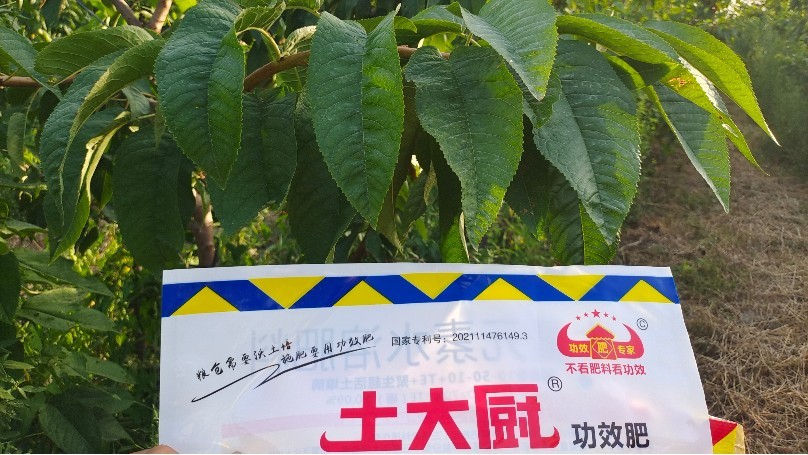 Imported water soluble fertilizer-cherry