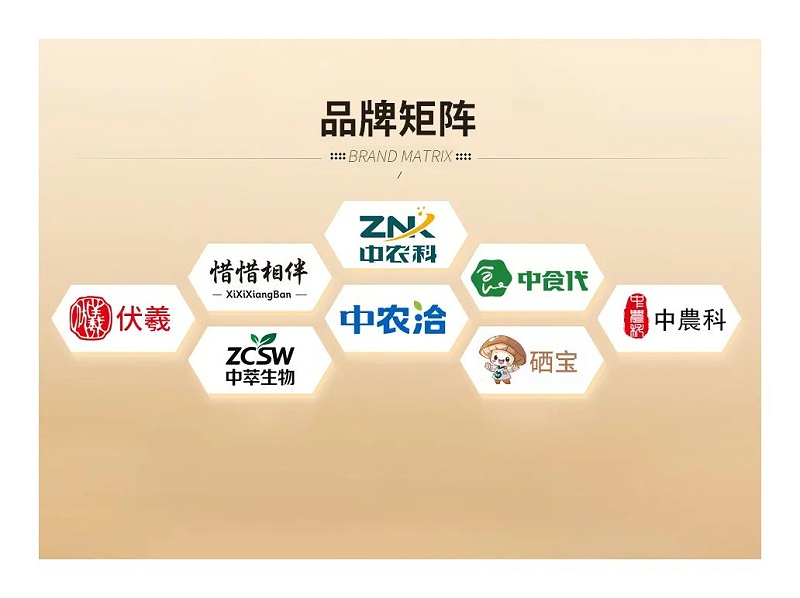 微信图片_2025-08-25_090100_815 微信图片_2025-08-25_090100_815