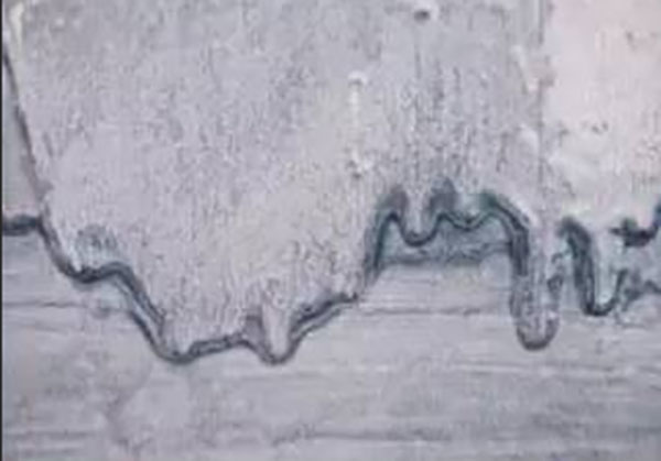 花盆流挂的图片