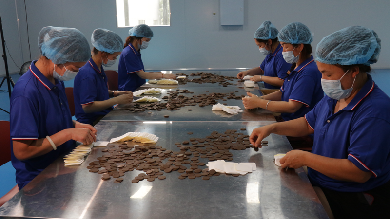 河南草本世家 膏贴代加工厂家